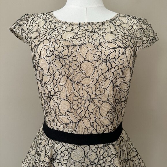 Antonio Melani $169 Lace Dress Women 4 Black Beige Career Peplum Mother of Bride - Picture 2 of 9